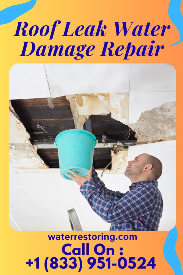 Roof Leak Water Damage Repair in Campti, LA
