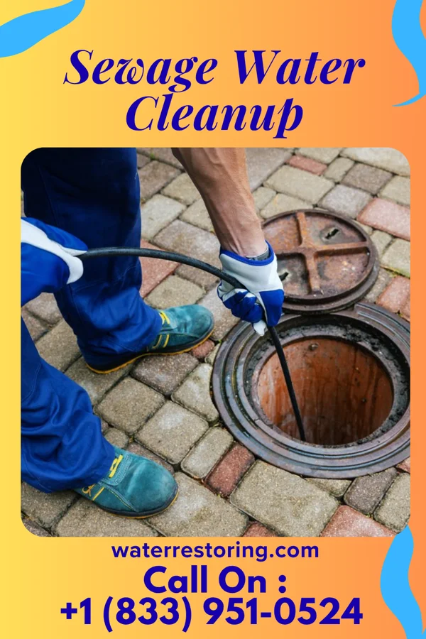 Sewage Water Cleanup in Campti, LA